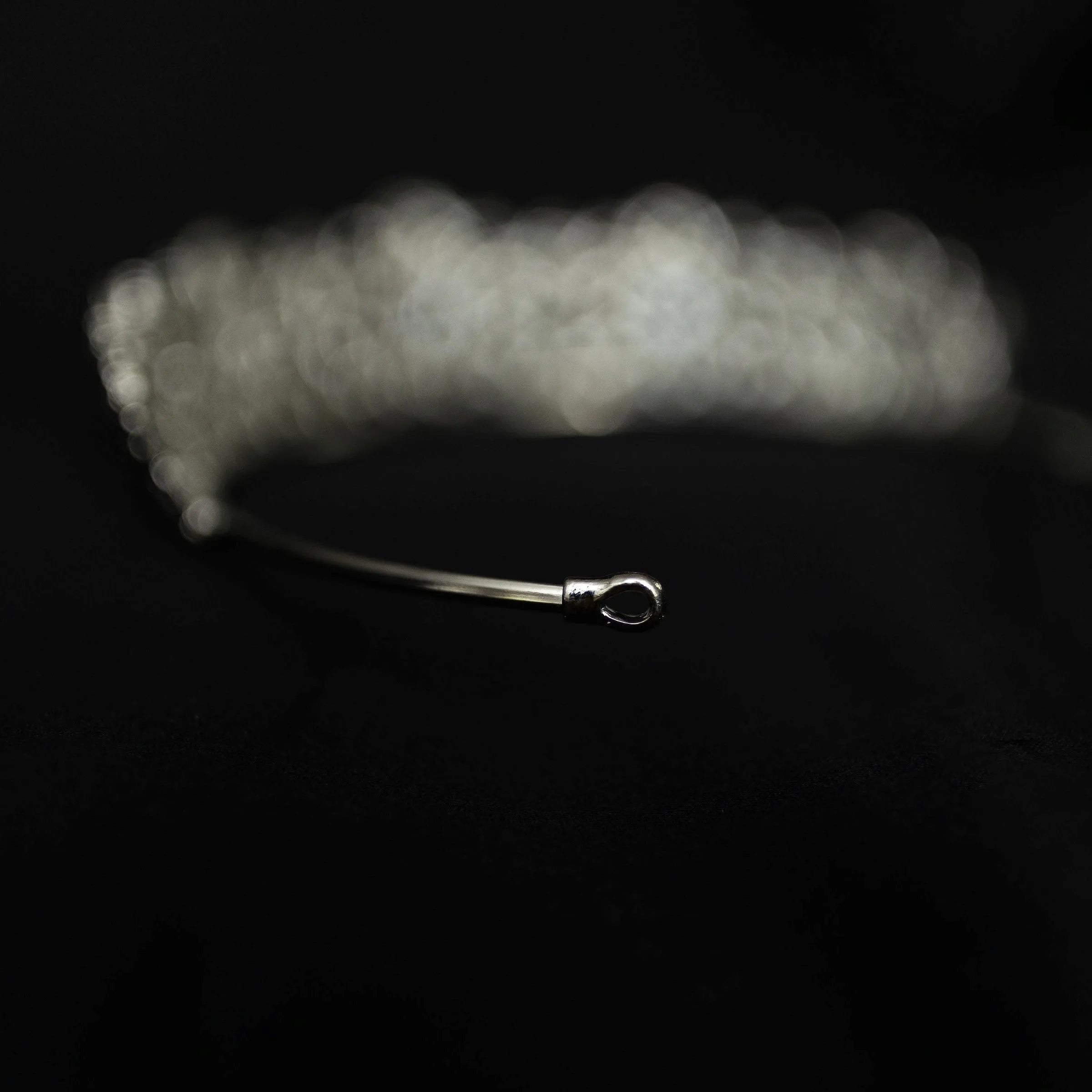 Benjamina in Silver