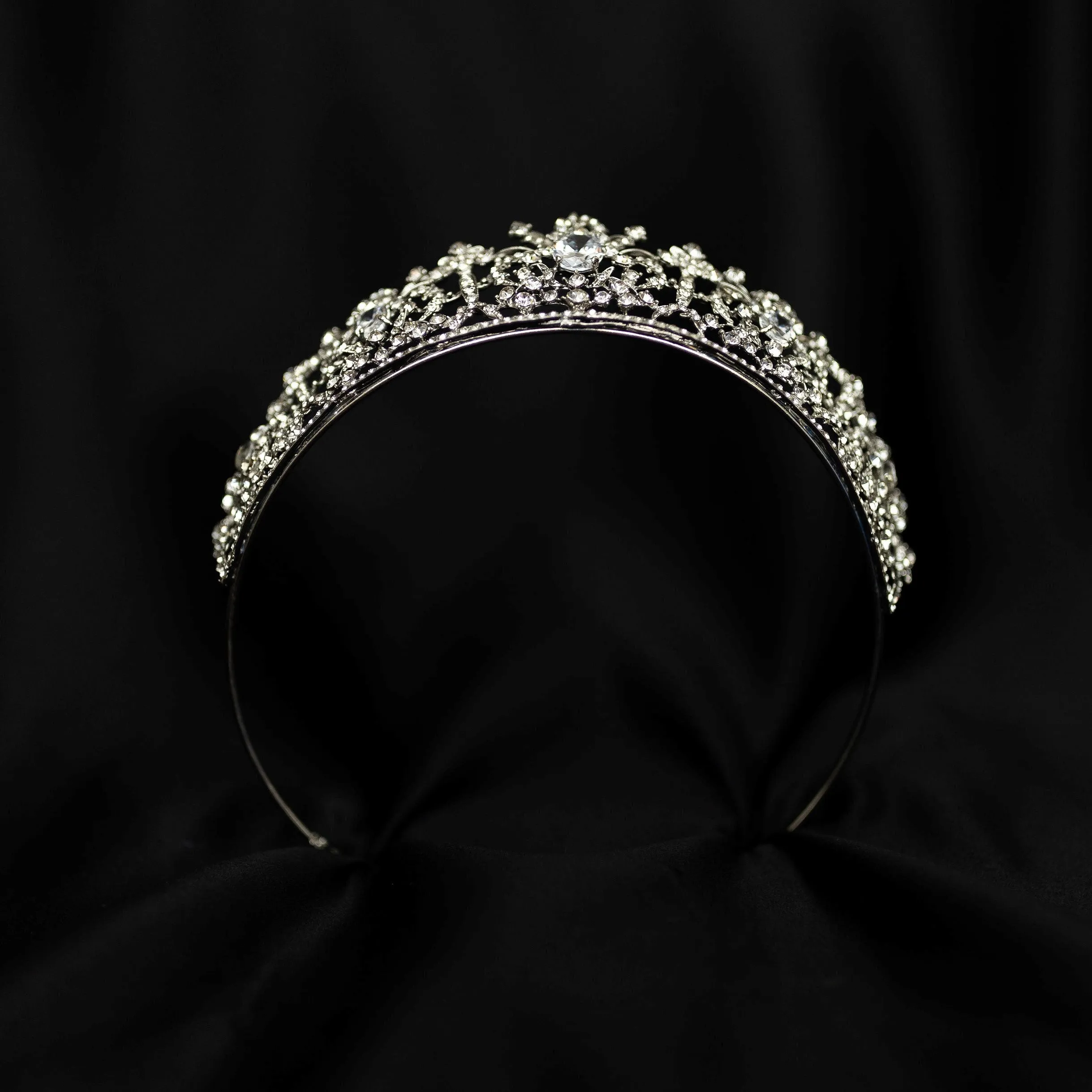 Benjamina in Silver
