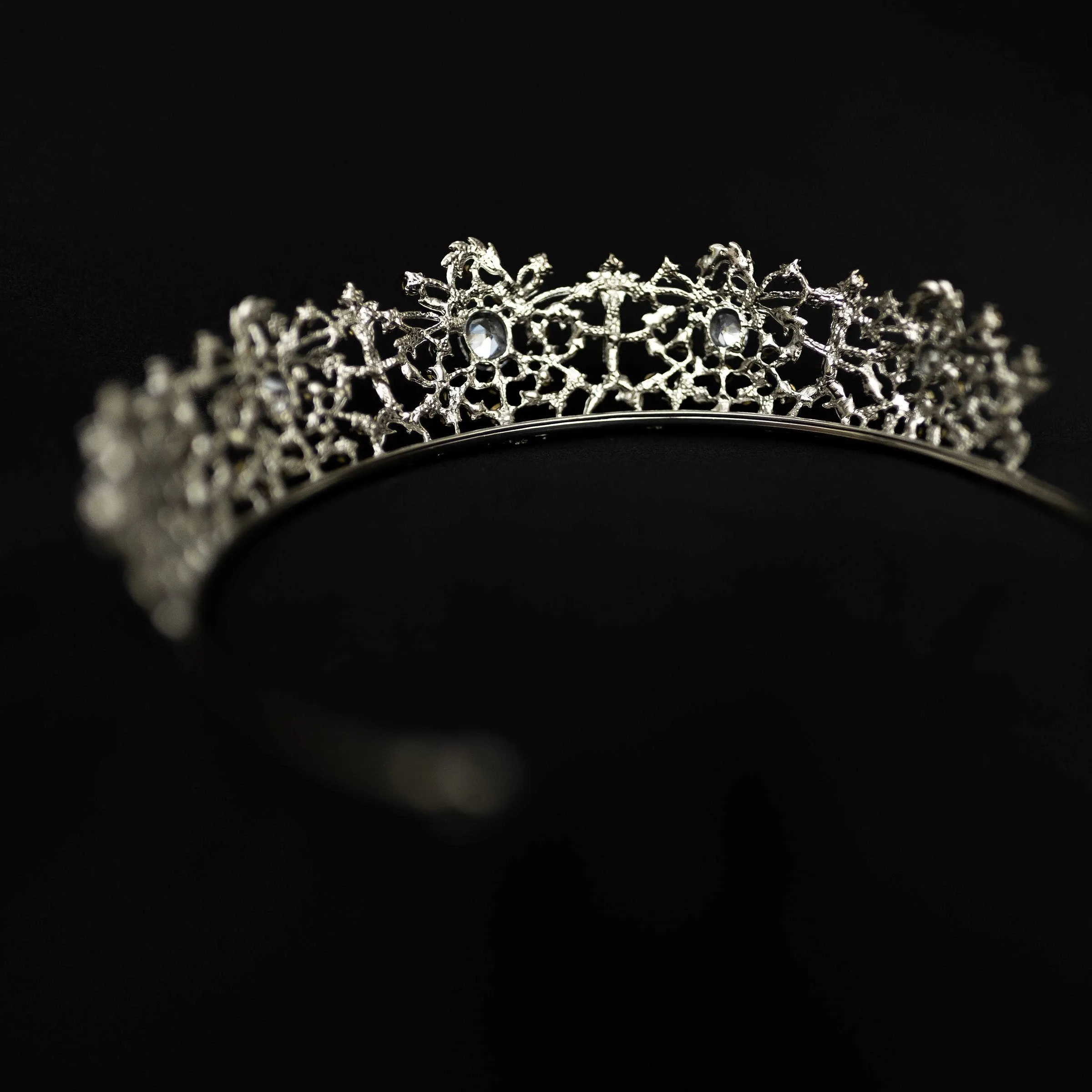 Benjamina in Silver