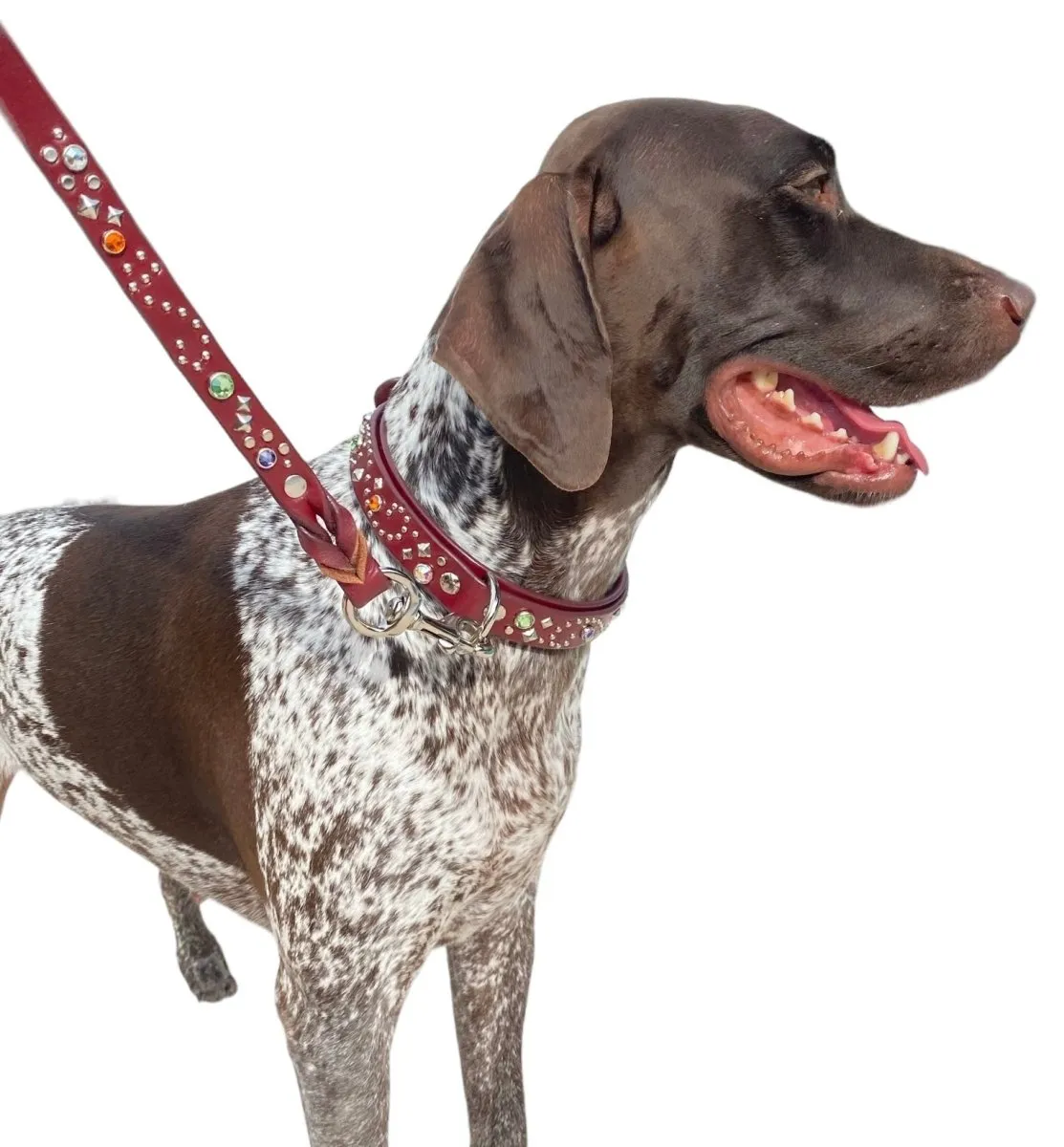 PREMADE Stargazer Crystal Dog Collar w/Matching Leash