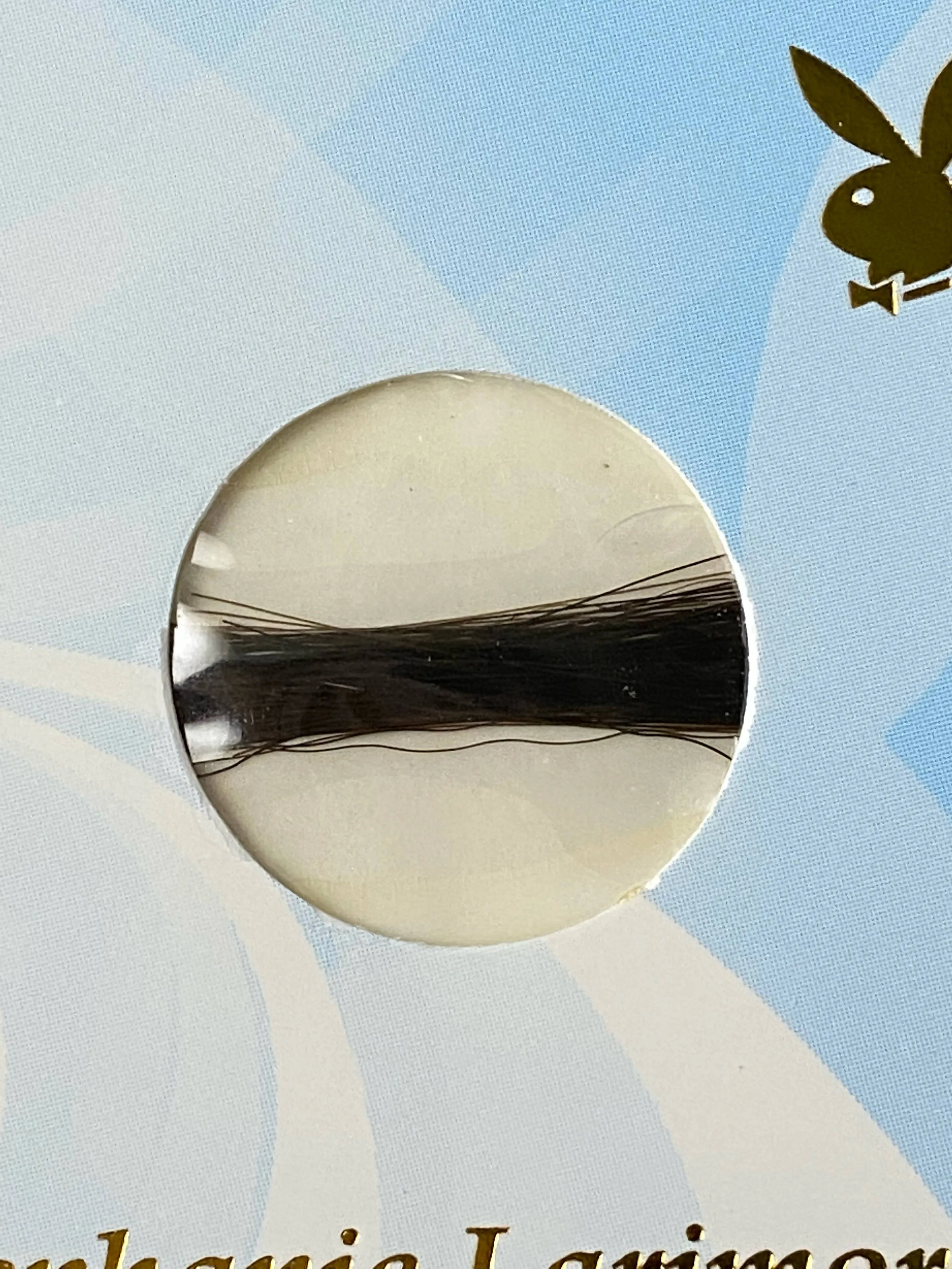 Stephanie Larimore Hair Locket