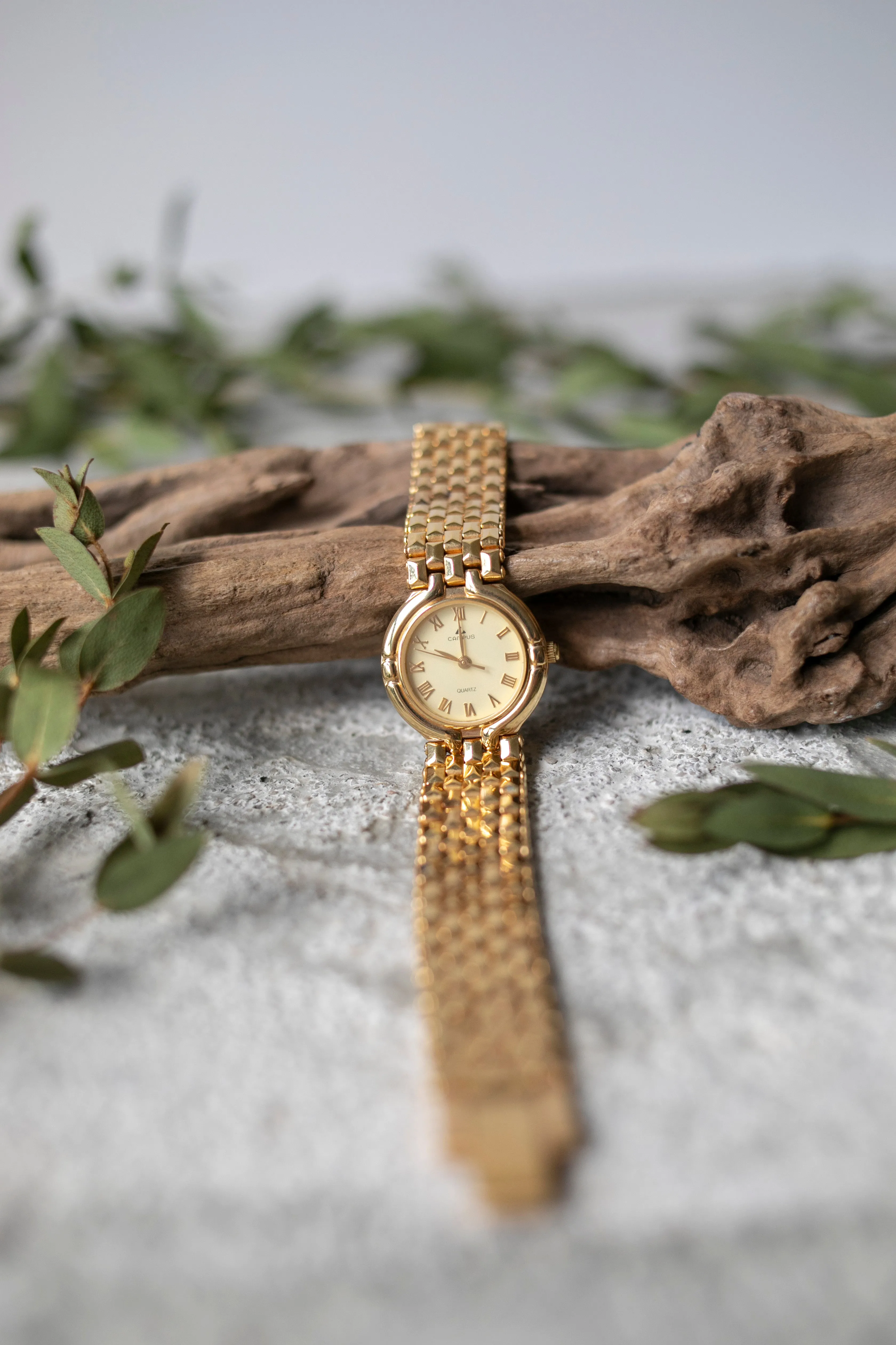 True Vintage: Campus Guilty (Cream)