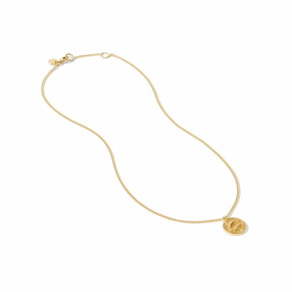 Zodiac Delicate Necklace - Capricorn - Cubic Zirconia